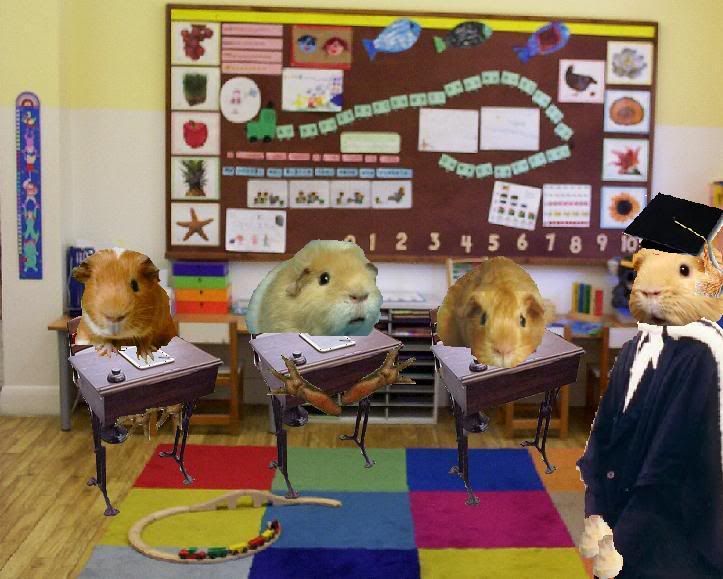 backtoschool.jpg