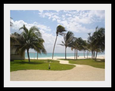 amazing Caribbean beaches in Playa del Carmen Mexico