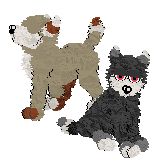 Dunno Poodles