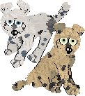 Flopsy Poodles