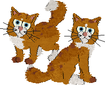 Gingey Coons