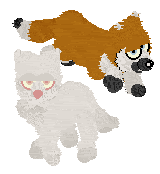 The ORIGINAL Foxies