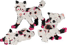 Pinky Poodles