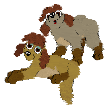 Rita Poodles