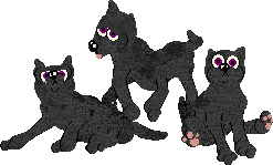 Shigure Poodle