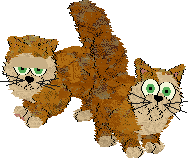 Soynut Persians