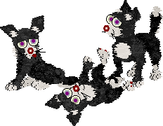 Sylvester Chis
