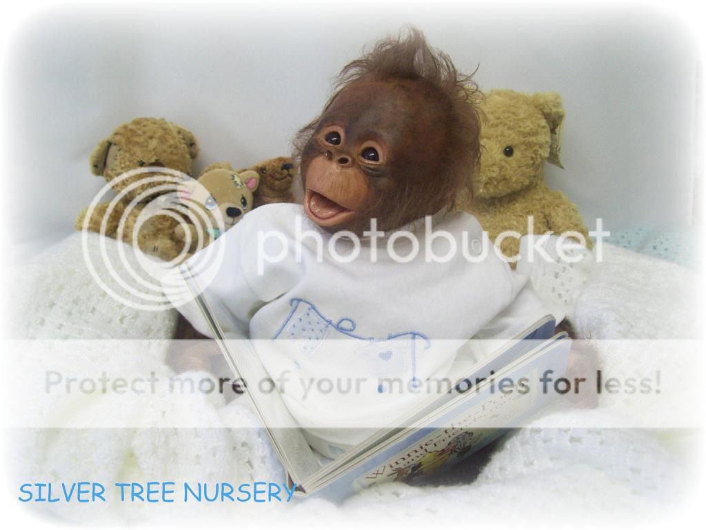 BiNKi OrAnGuTaN CoMpLeTe Kit For Reborn♥~♥  