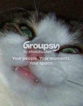 Booularpot.jpg