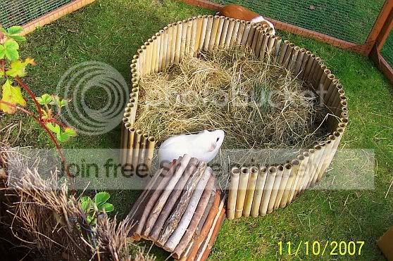 Circlehay1.jpg