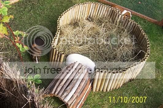 Circlehay2.jpg