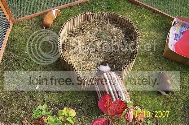 Circlehay4.jpg