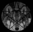 For tha wolves