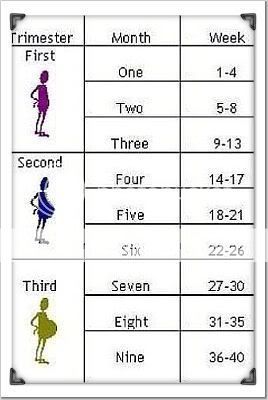 Weeks To Months Pregnancy Chart
