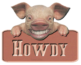 Howdy. Картинка howdy. howdy towby. howdy гифка.