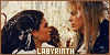 Labyrinth Fan
