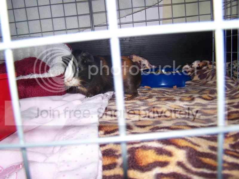 Feb2011014.jpg