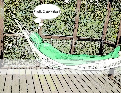 Screened in hammock